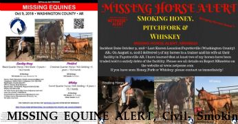 MISSING EQUINE ALERT, Civil- Smoking Honey, LOCATED SAFE Pitchfork, Whiskey Near Fayetteville, AR, 72704